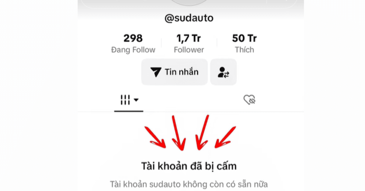 Tài khoản nhiều người theo dõi nhưng nếu bạn vi phạm chính sách của TikTok đều bị vô hiệu hóa.