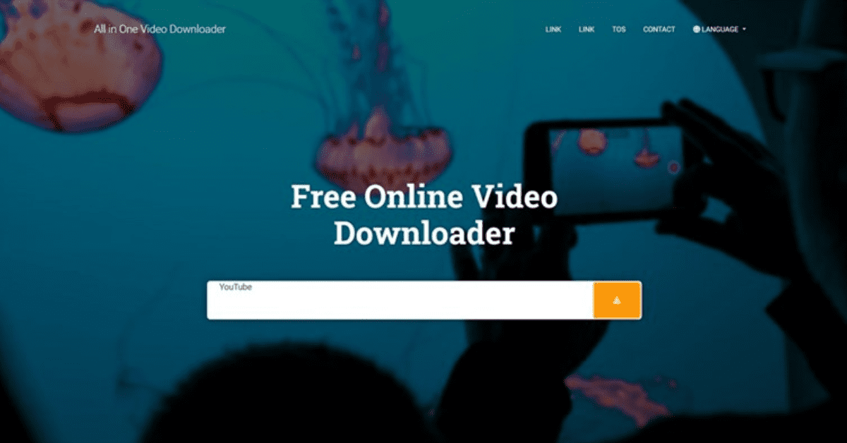 TikTok Video Downloader 