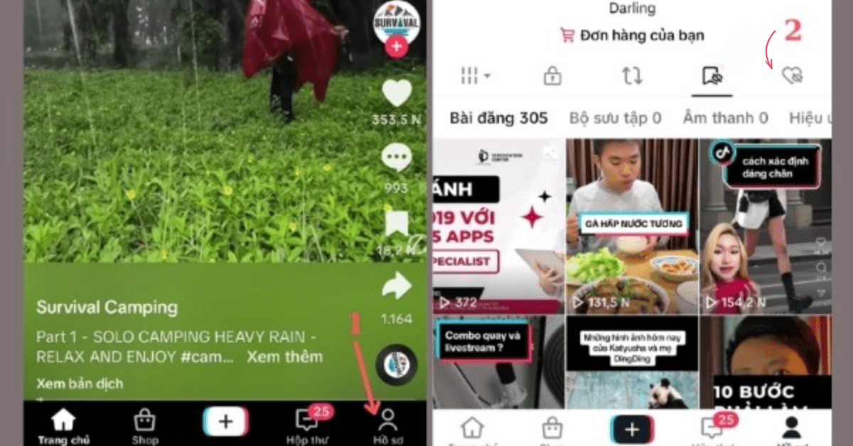 Xem lại các video mình từng xem và thả tim (đã thích) trên TikTok